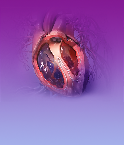 human anatomy atlas app free human anatomy atlas app free