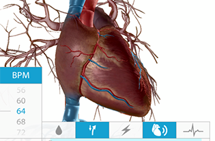 Heart Rate