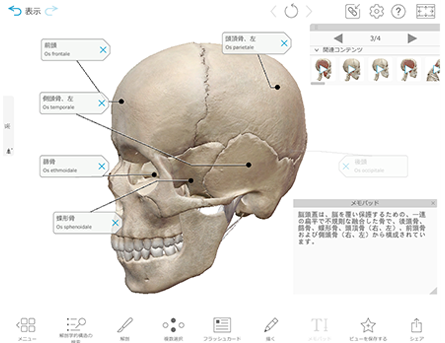 Skull Tour
