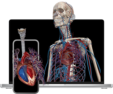 Visible Body's 3D human anatomy models popping out of various devices