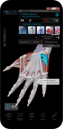 La herramienta de estudio y referencia del cuerpo humano en 3D más completa y fácil de usar.