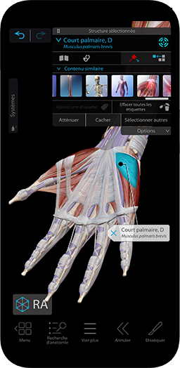 L’outil d’étude et de référence du corps humain en 3D le plus complet et le plus facile à utiliser.