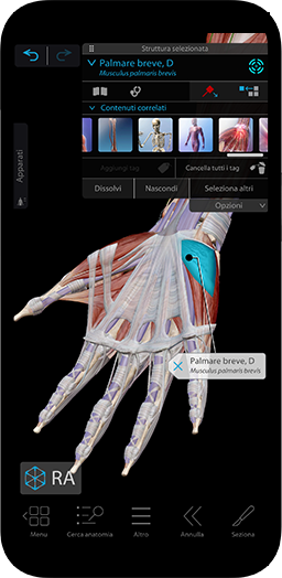 Lo strumento formativo e di consultazione in 3D sul corpo umano più completo e facile da usare.