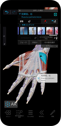 最も完成度が高く、使いやすい3D人体リファレンスと学習ツールです。