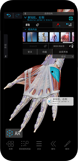 最完整且易于使用的3D人体参考和学习工具。