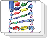 Molecular Level of DNA (Functions)