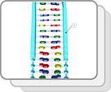 Molecular Level of DNA (Structures)