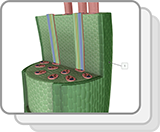 Monocot Stem (Structures)