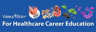 vb-for-healthcare-career-education