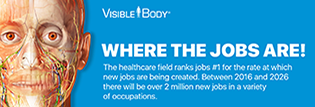 Visible Body healthcare field #1 new jobs