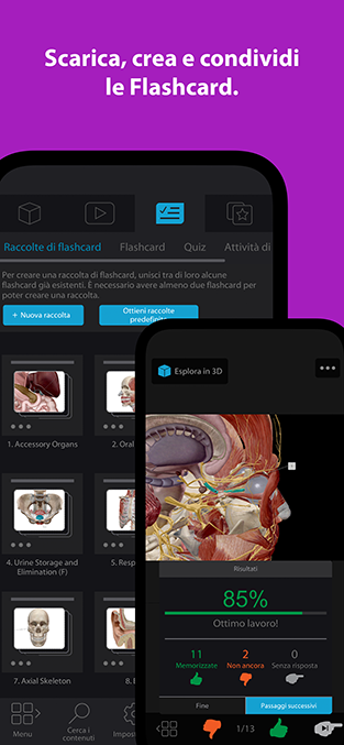 Scarica, crea e condividi le Flashcard.