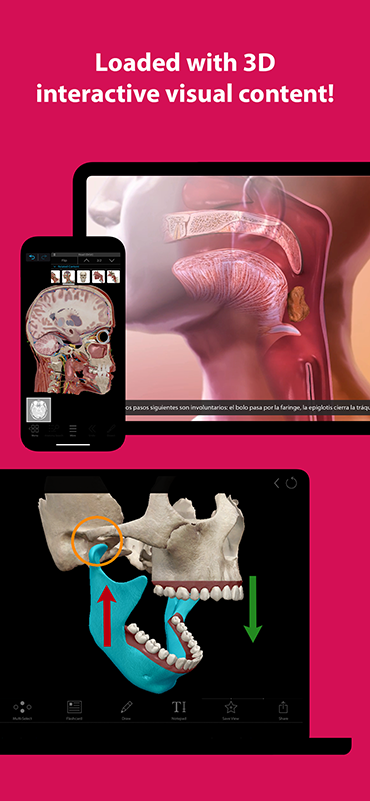 The most complete and easy-to-use 3D human body reference and study tool.