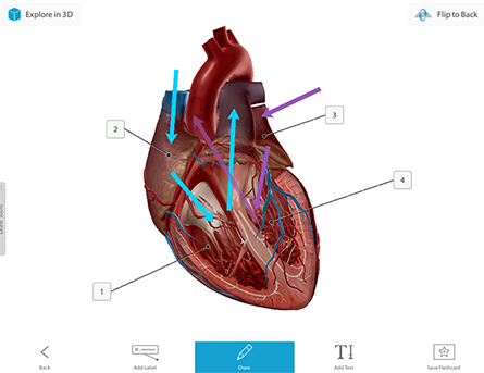 visible body app login visible body app login