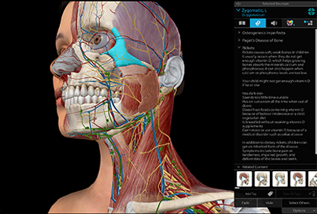 courseware-zygomatic