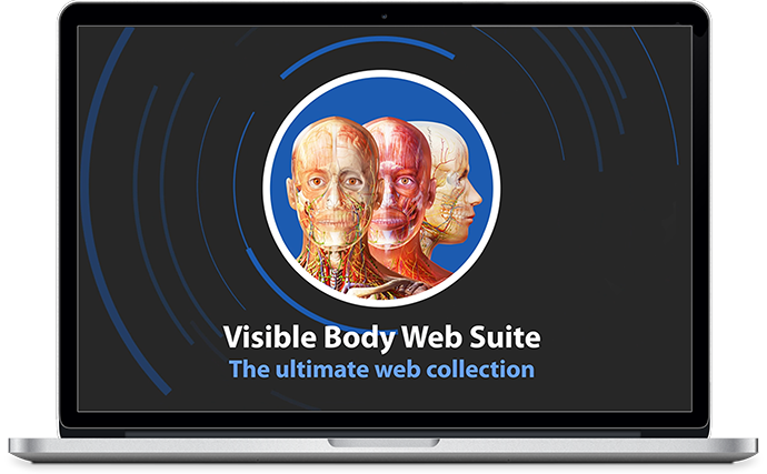 visible body app windows visible body app windows